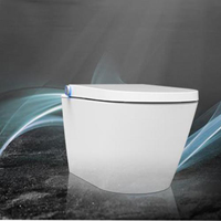 Intelligent DUSCH WC Shower Bidet Toilet Seat