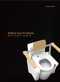 electric toilet lift