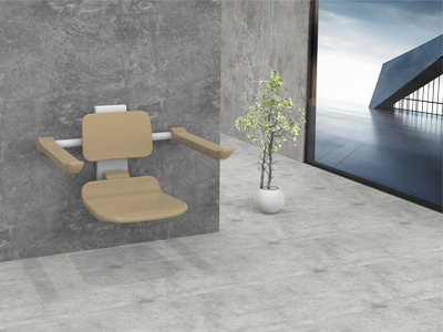 Shower Seat