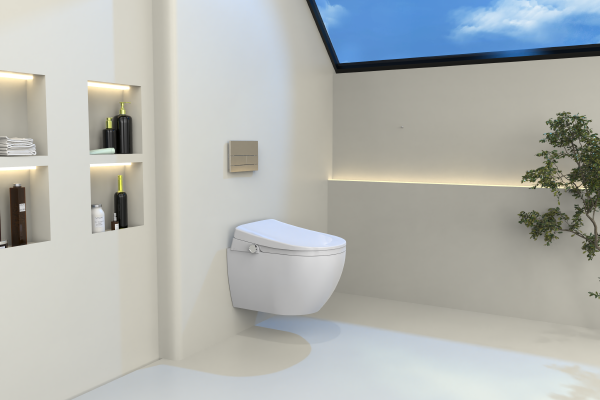smart toilet seat for wall hung toilet