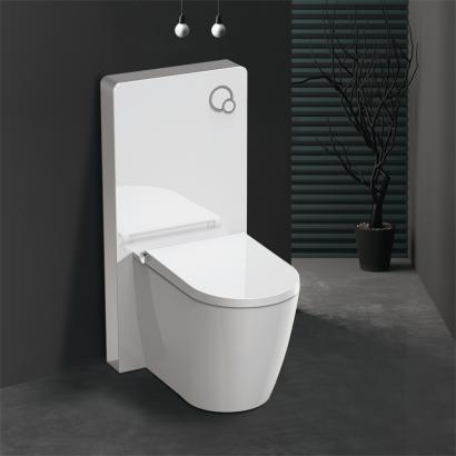 Smart bidet seat douche WC