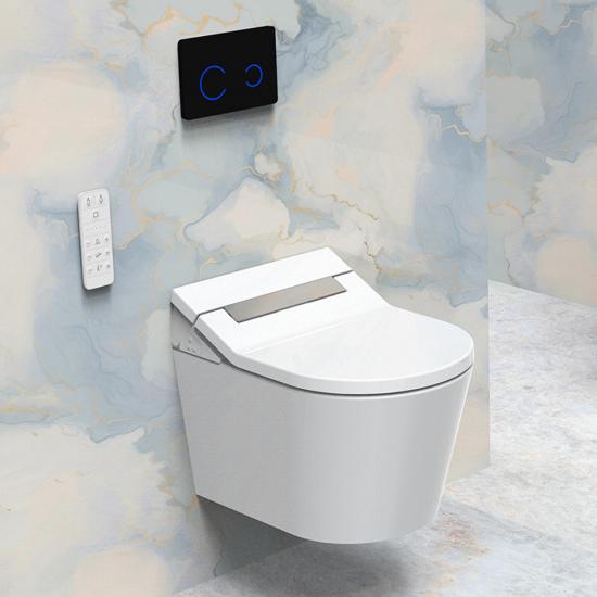 smart toilet seat
