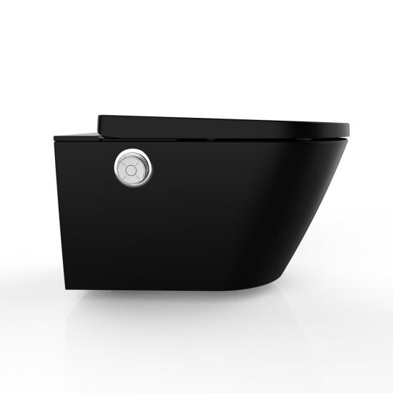 bidet toilet seat Cabinet cistern