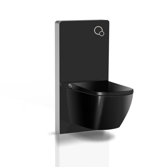 Popular Smart Toilet