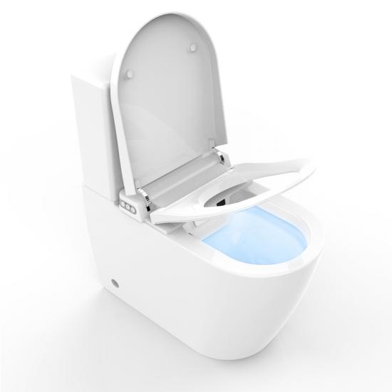 Two Piece smart toilets