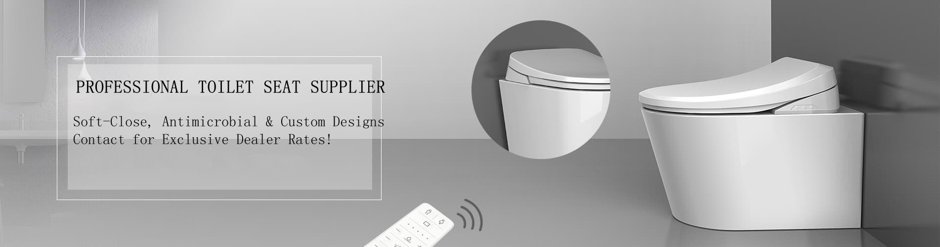 Separate Bidet Seat