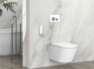 Een wereldwijde woordenlijst van slimme toiletten: van grote talen tot kleine talen