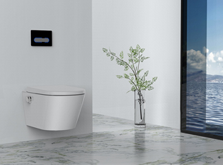 Het slimme toiletlandschap: inzichten voor B2B-partners – Oceanwell's perspectief