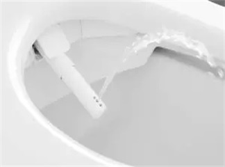 4 redenen om te stoppen met het gebruik van toiletpapier en hoe je het niet kunt gebruiken
