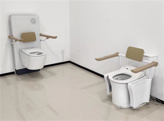 Volwassenen brengen 1,5 jaar door op toiletten - mensen met een handicap zijn geen uitzondering
